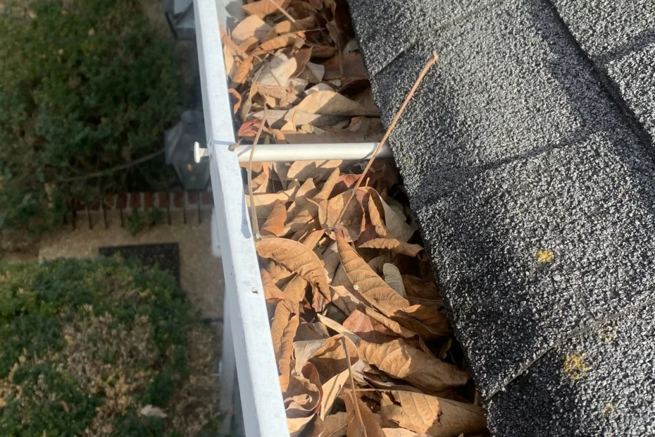 Gutter Cleaning Lonoke AR