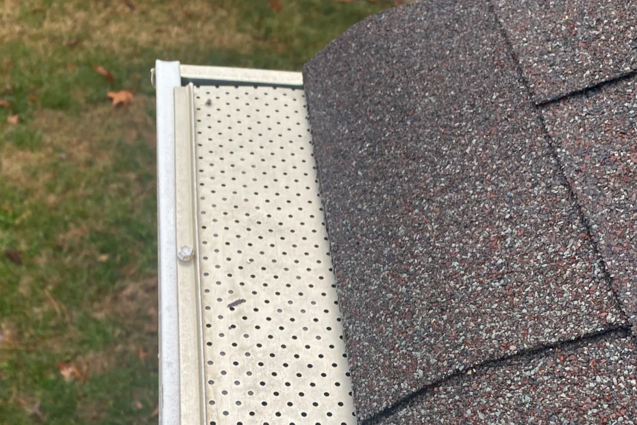 Gutter Cleaning Lonoke AR