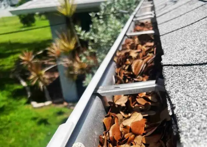 Gutter Cleaning Lonoke AR home page